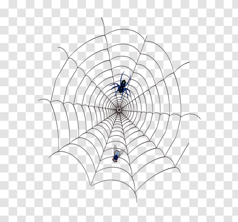 Spider Web - Silk - Spider,cobweb Transparent PNG