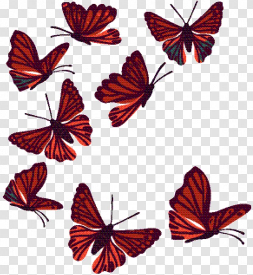 Tiger Cartoon - Moths And Butterflies - Lycaenid Plant Transparent PNG