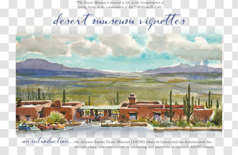 Arizona-Sonora Desert Museum The Dessert Landscape Transparent PNG