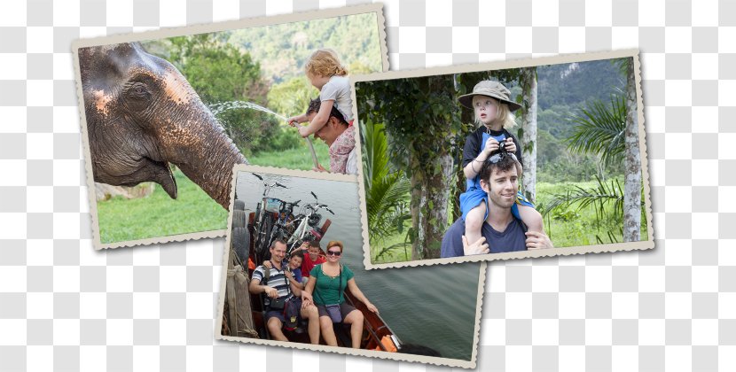 Khwae Yai River Hotel Family Elephants Travelnauts - Mammal - Thailand Tour Transparent PNG