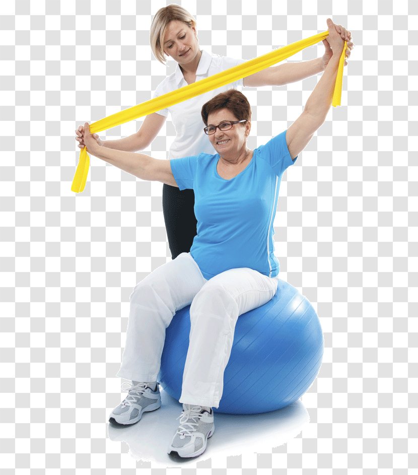 Physical Therapy Medicine And Rehabilitation Degenerative Disc Disease Health Professional - Exercise - Diet Tyerapy Transparent PNG