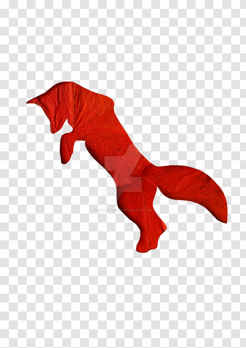 Canidae Dog Marine Mammal Animal Transparent PNG