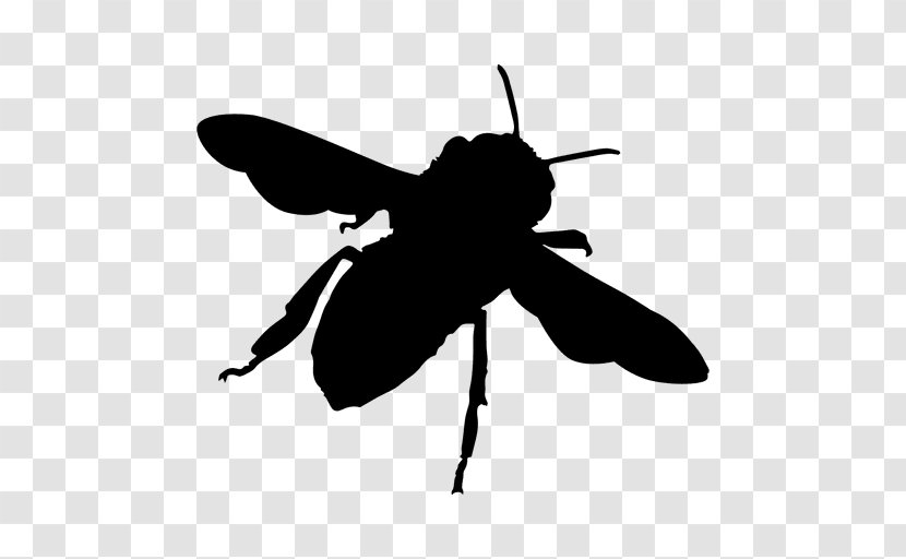 Bee Hornet Insect Yellowjacket Clip Art - Monochrome - Bees Transparent PNG