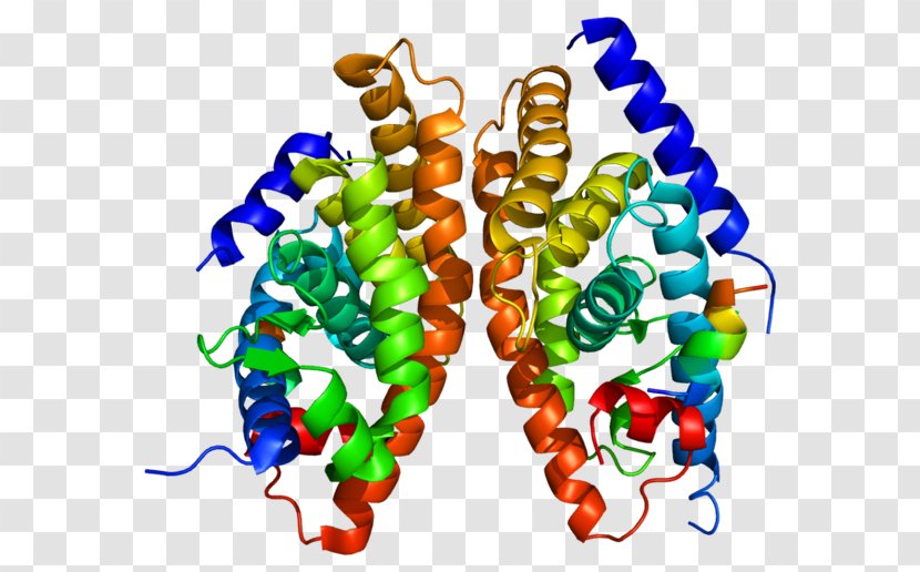 Liver X Receptor Alpha Nuclear Retinoid - Transcription Transparent PNG