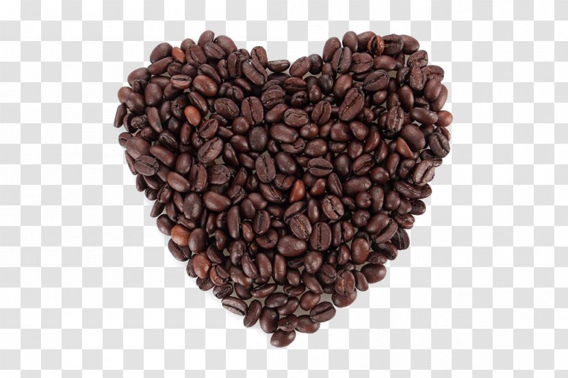 Jamaican Blue Mountain Coffee Cafe Chocolate-covered Bean Cocoa - Theobroma Cacao - Beans Transparent PNG