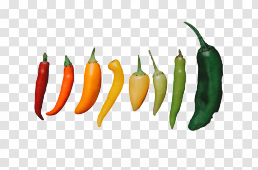 Cayenne Pepper Habanero Peppers Yellow Pepper Malagueta Pepper Transparent PNG