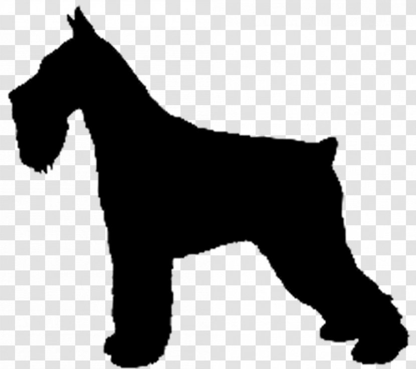 Dog Miniature Schnauzer Lakeland Terrier Welsh Irish Transparent PNG