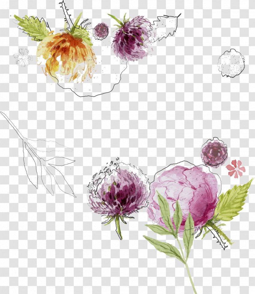 Flower Plant Flowering Red Clover Wildflower - Watercolor Paint Transparent PNG