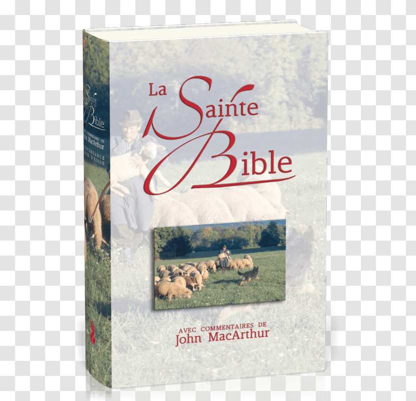 MacArthur Study Bible Schlachter Sainte Bible: Français Louis Segond Traduction Luther - Macarthur - Book Transparent PNG