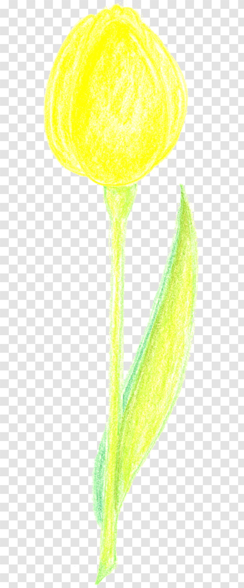 Line - Yellow Transparent PNG
