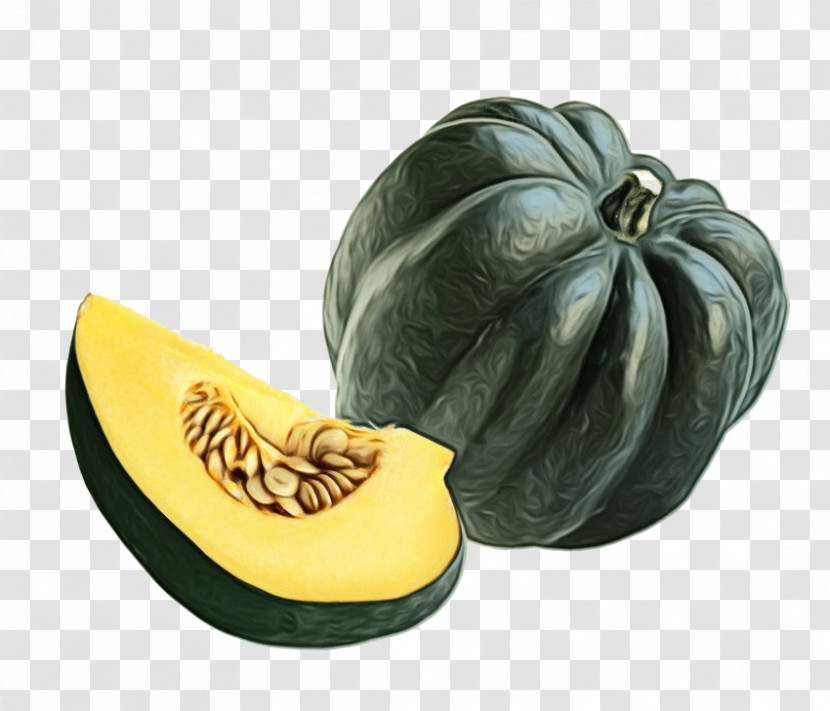 Squash Winter Squash Fruit Melon Transparent PNG