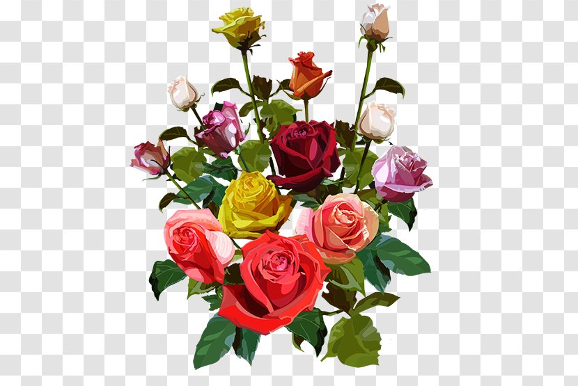 Garden Roses Cut Flowers Flower Bouquet Cabbage Rose - Family Transparent PNG