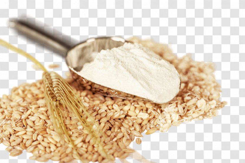 Oat Atta Flour Wheat Whole Grain - Food Transparent PNG