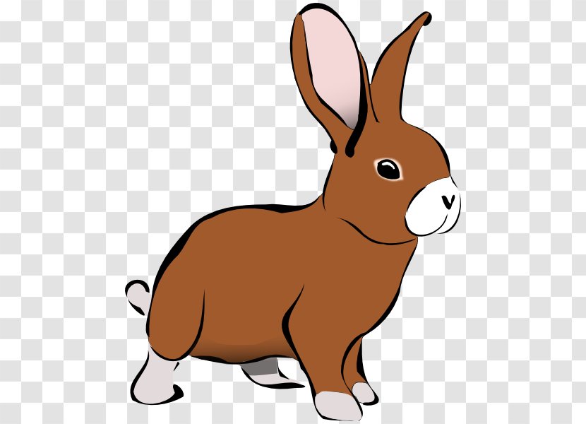 Hare Domestic Rabbit Clip Art - Mammal Transparent PNG