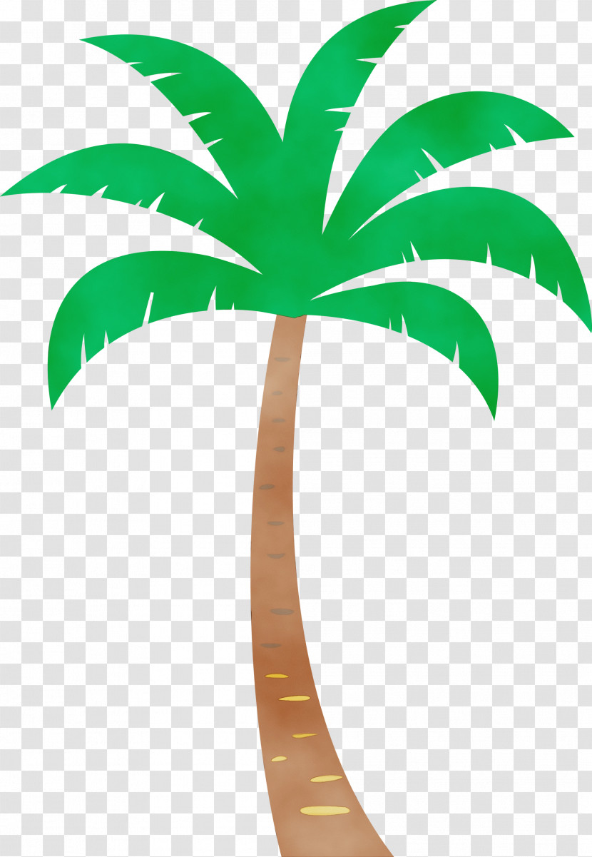 Palm Trees Transparent PNG