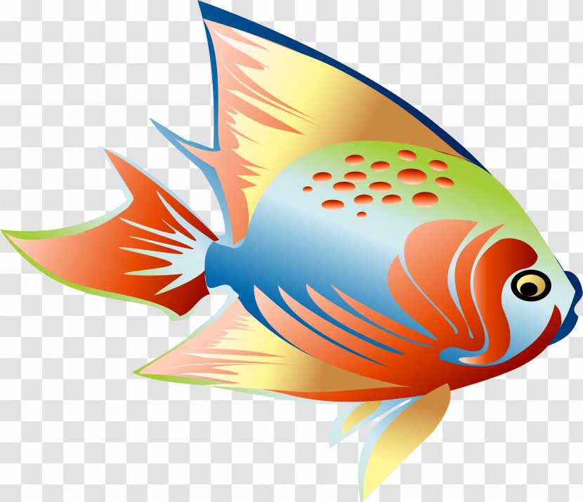 Fish Clip Art - Tropical - Colorful Dream Transparent PNG