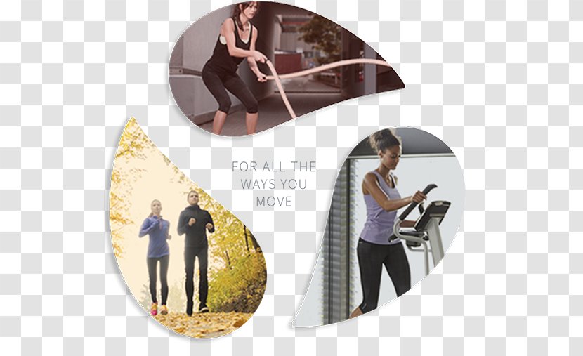 Fitness Resource / Johnson & Wellness Store Elliptical Trainers Treadmill Exercise Physical - Centre - Gym Landing Page Transparent PNG