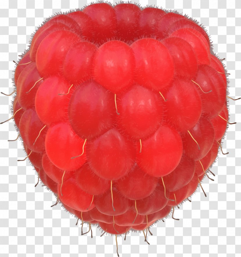 Raspberry Clip Art Transparent PNG