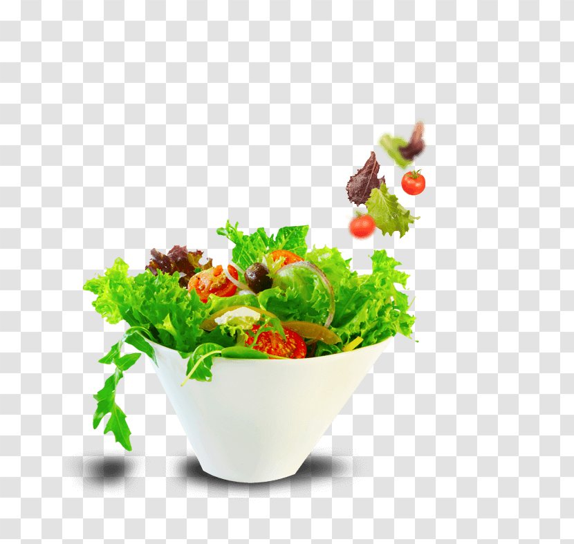 Greek Salad Raw Foodism Bowl Leaf Vegetable Transparent PNG