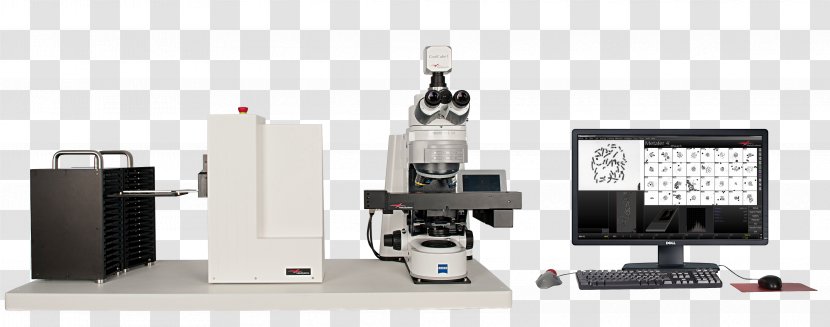 Optical Instrument Microscope Pathology Cytogenetics Chromosome - Microscopy Transparent PNG