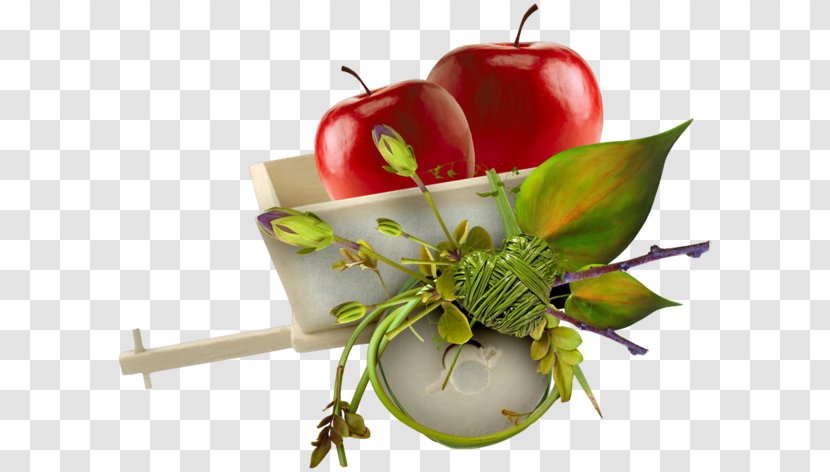 Apple Auglis - Email - Two Apples Transparent PNG
