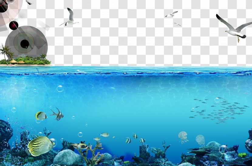 Underwater World, Singapore Deep Sea Fish - The World Transparent PNG