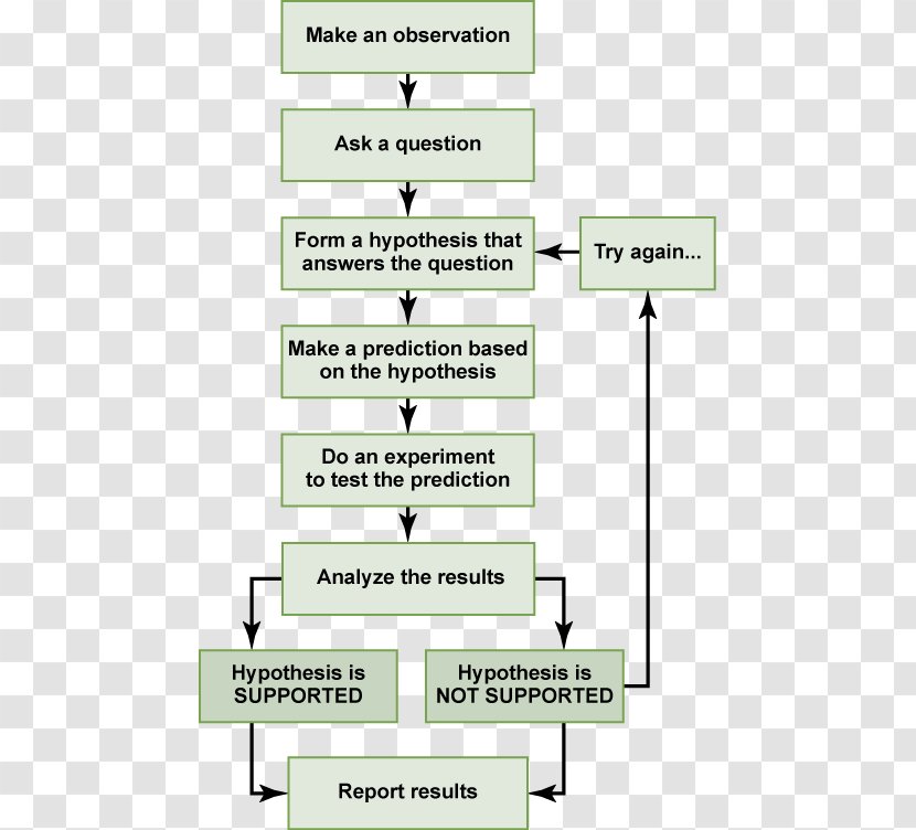 Scientific Method Research Science Hypothesis Theory - Design - Step Flow Chart Transparent PNG