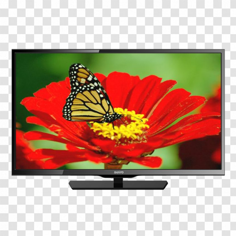 Television Set LED-backlit LCD Liquid-crystal Display High-definition Electronics - Media - Tokopedia Transparent PNG