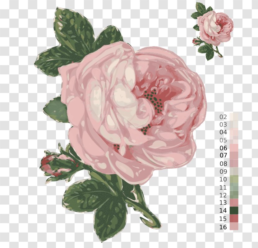 Passion For Roses Zazzle Garden Flower - Rose Transparent PNG
