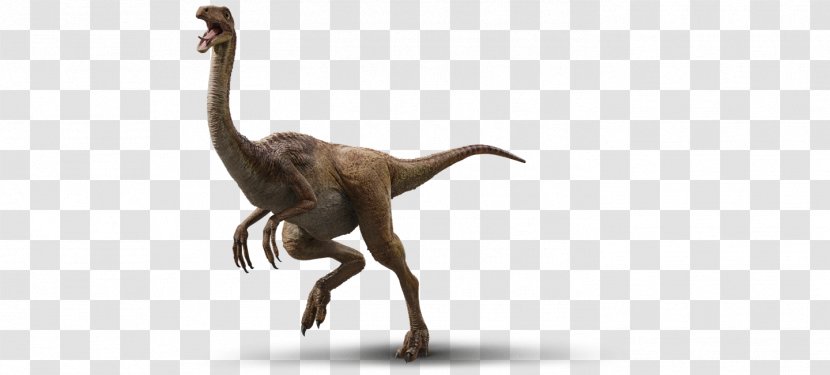 Velociraptor Gallimimus Tyrannosaurus Parasaurolophus Triceratops - Wildlife - Dinosaur Transparent PNG