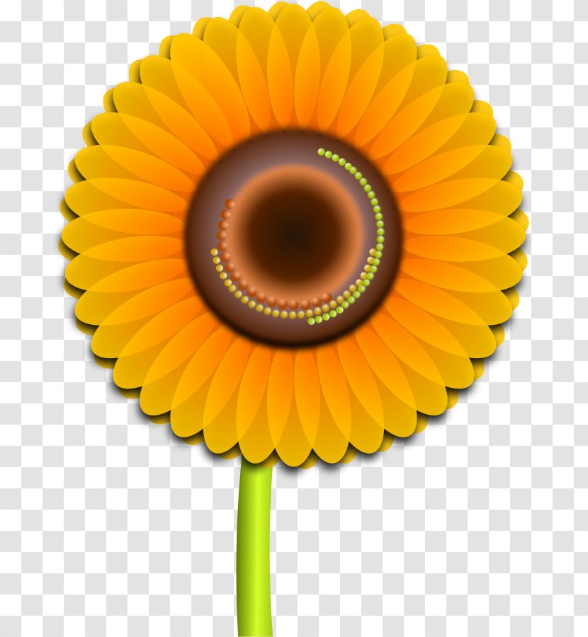 Common Sunflower Clip Art - Petal - Free Vector Sun Transparent PNG