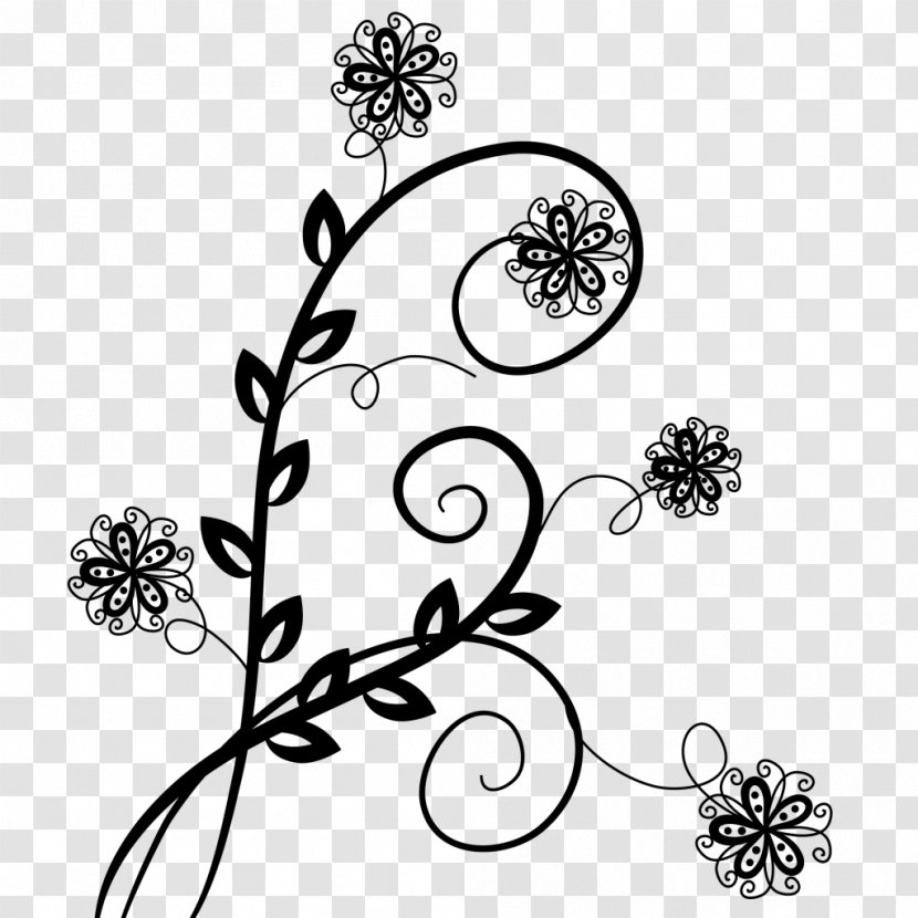 Floral Design Drawing White - Plant Stem Transparent PNG