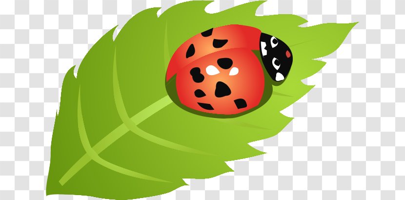 Ladybird Leaf - Disease - Ladybug Leaves Transparent PNG