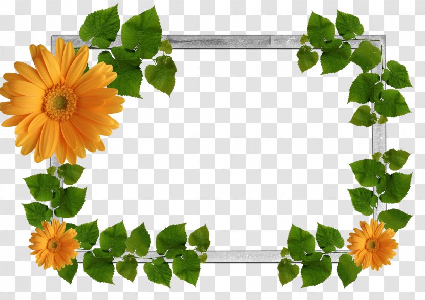 Picture Frames Display Resolution Image File Formats Clip Art - Flower - Green Frame Transparent PNG