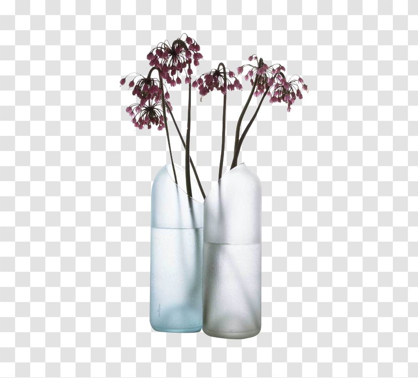 Glass Vase Iittala Bottle - Tord Boontje Transparent PNG