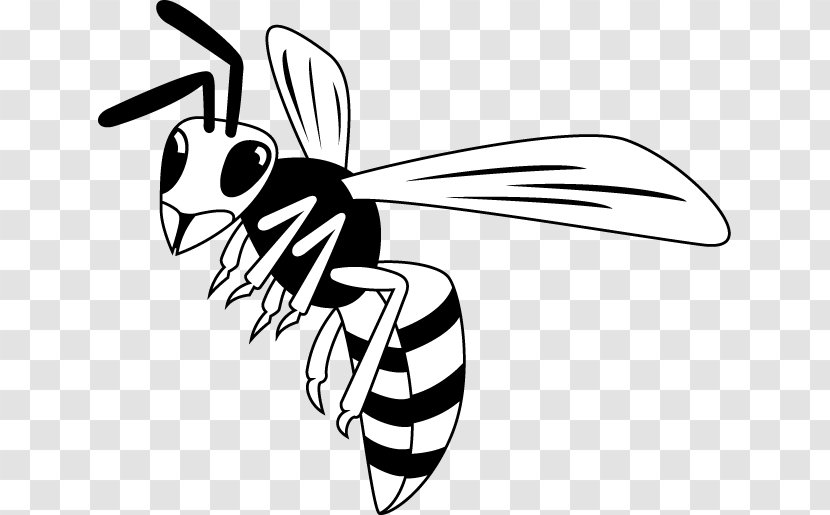 Honey Bee Black And White Insect Clip Art - Invertebrate Transparent PNG