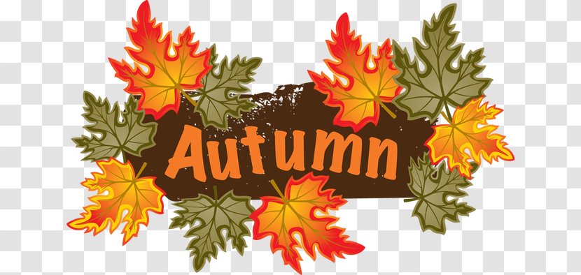 Autumn Leaf Color Clip Art - Free Content - Cliparts Transparent PNG
