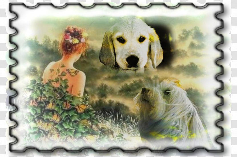 Golden Retriever Labrador Puppy Dog Breed Genuine Mediumship - Like Mammal Transparent PNG