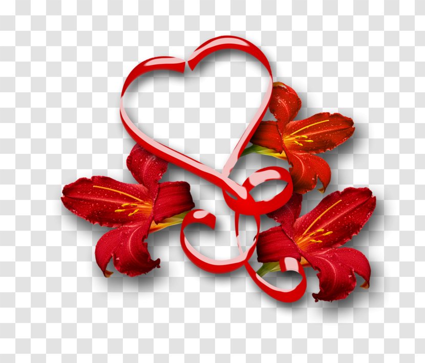 Photography Love Clip Art - Holiday Transparent PNG