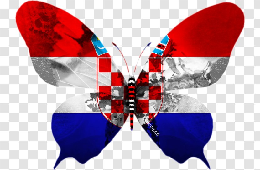 Butterfly Portugal Eurovision Song Contest 2013 Hungarians Hungary - Easter Egg Transparent PNG