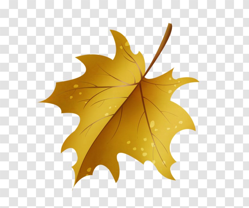 Maple Leaf Drawing Green - Brown Transparent PNG
