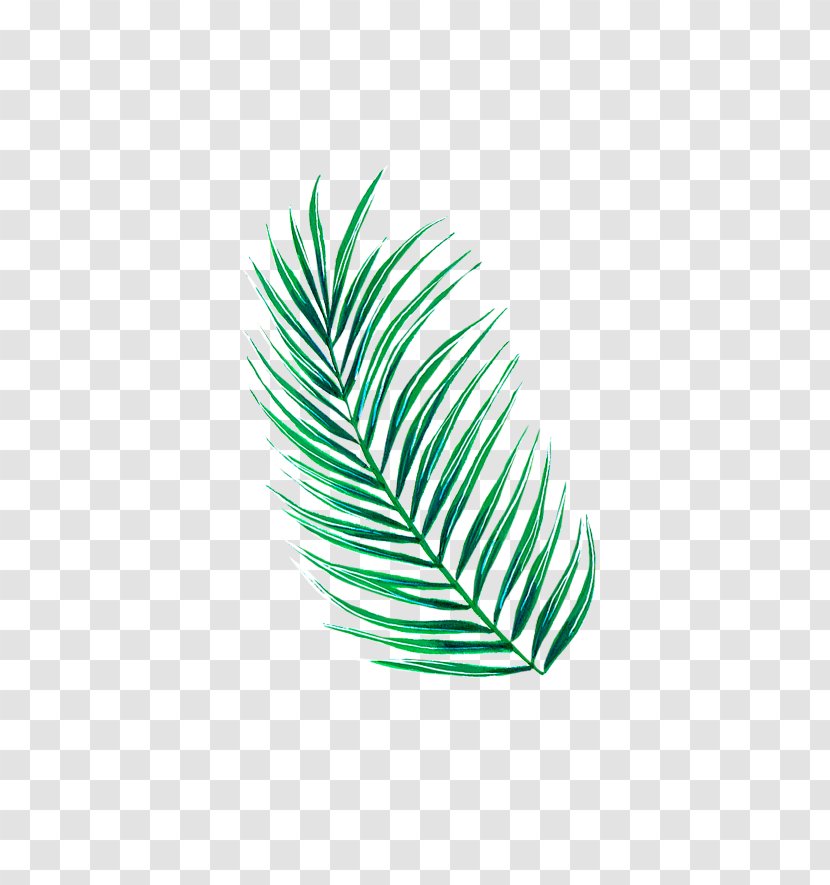 Leaf Line Tree - Green Transparent PNG