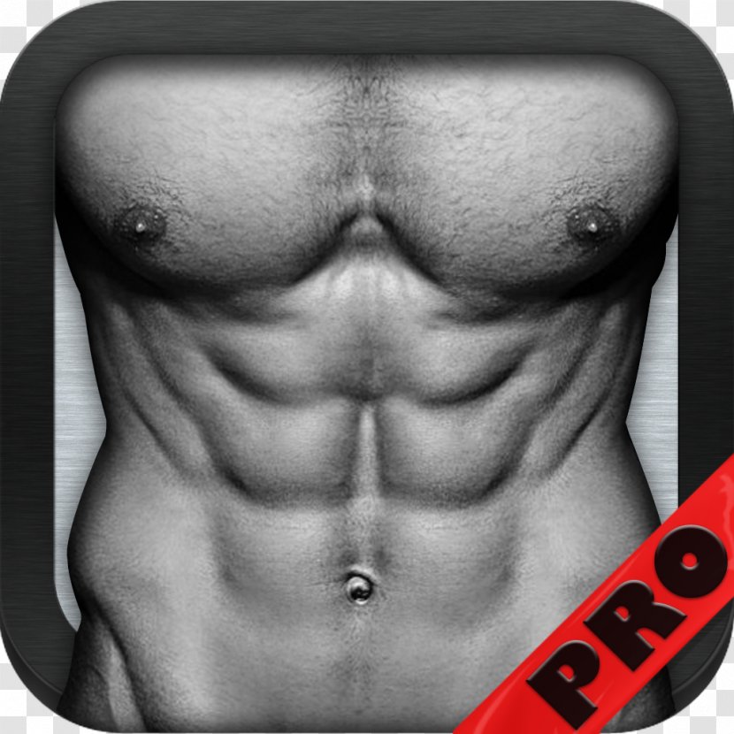 Abdominal Exercise App Store .ipa - Tree - Workout Transparent PNG