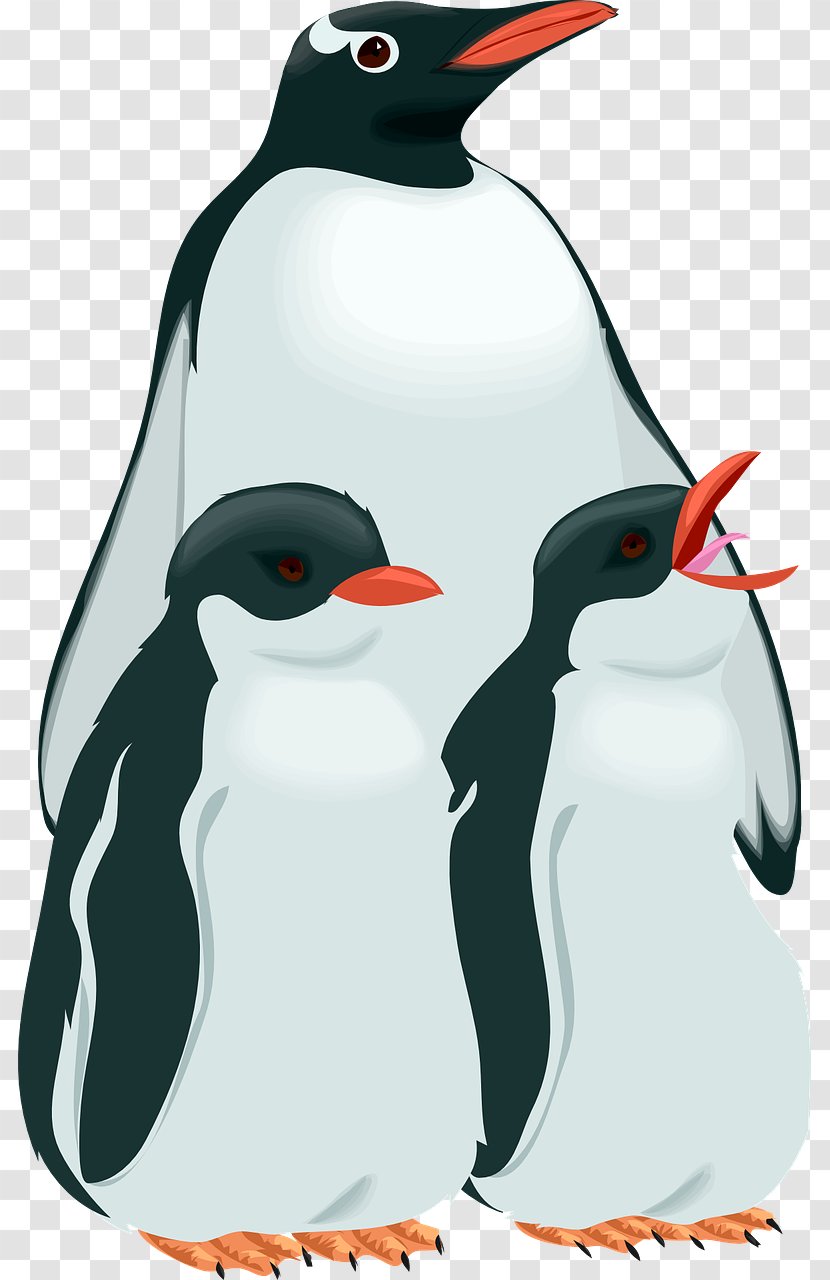 Penguin Royalty-free Clip Art - Bird - Three Penguins Transparent PNG