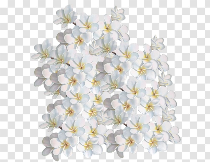 Petal Cut Flowers Floral Design Birthday - Flower Transparent PNG