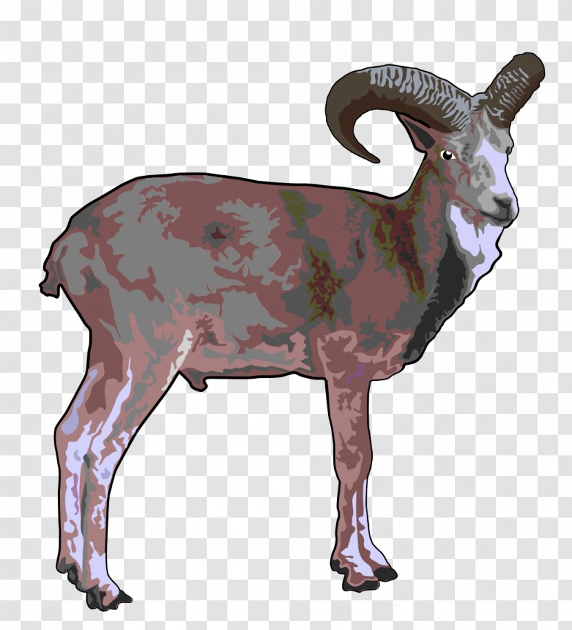 Sheep Argali Goat Urial Clip Art - Barbary Transparent PNG