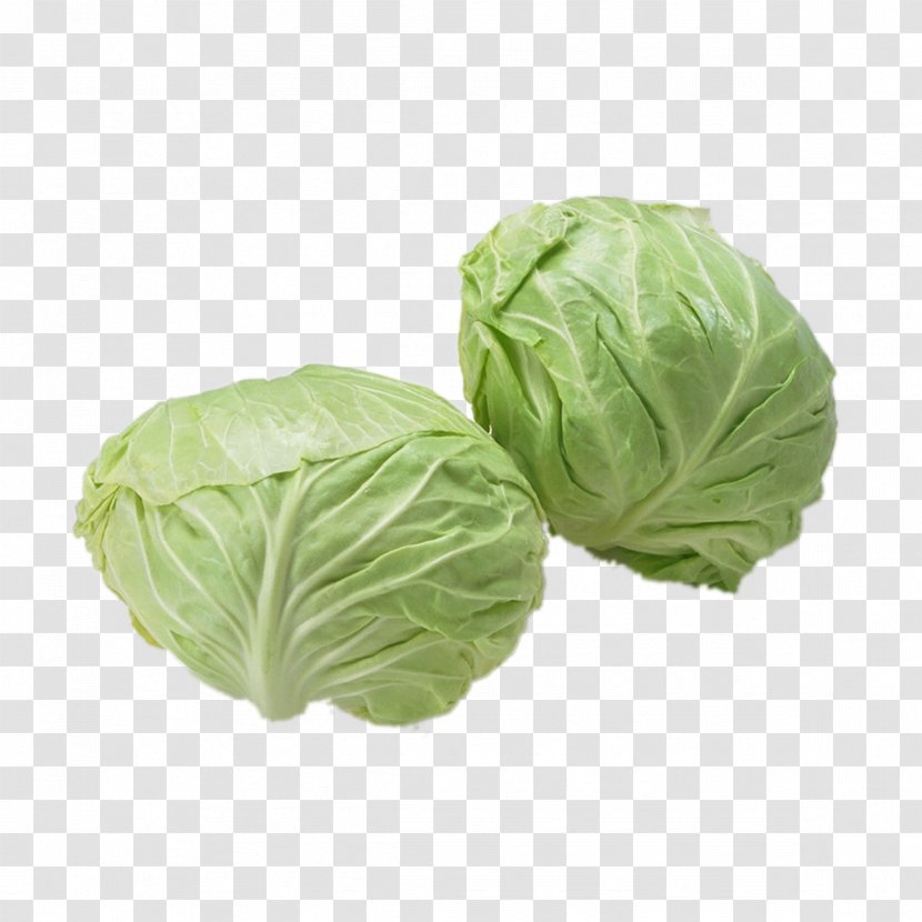 Napa Cabbage Vegetable Food Eating - Brassica Transparent PNG