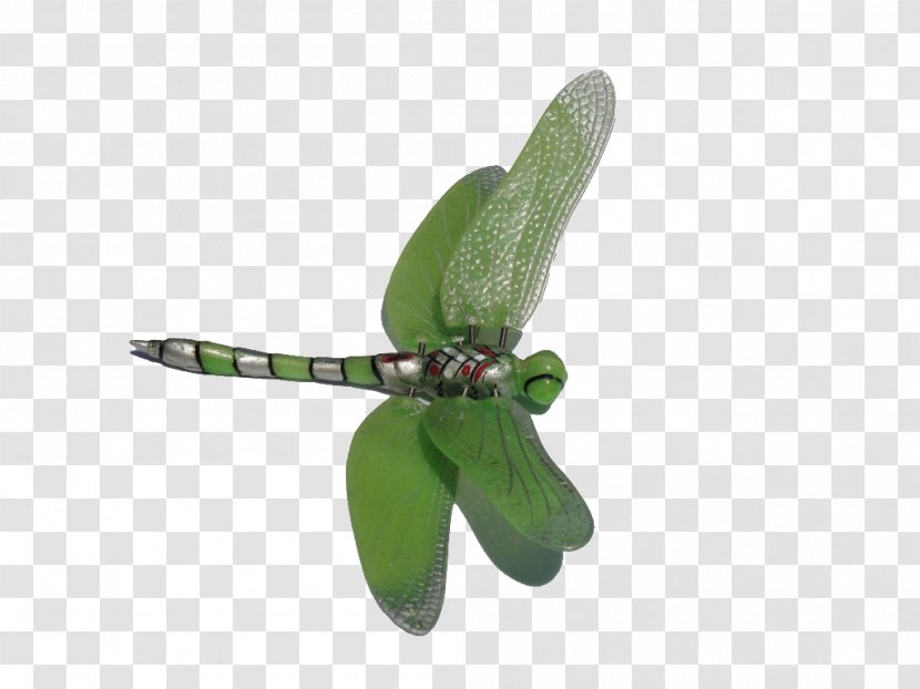 Dragonfly Download Clip Art - Bluegreen Transparent PNG