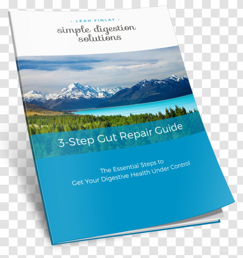 Keltie Glacier Lake Pukaki Water Resources Energy - Brochure Transparent PNG