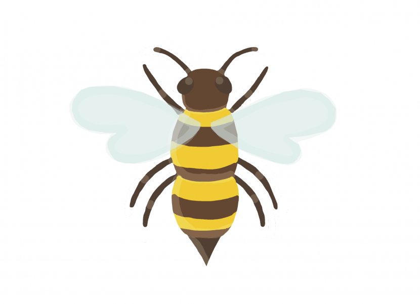 Honey Bee Insect Guess The Emoji - Sticker Transparent PNG